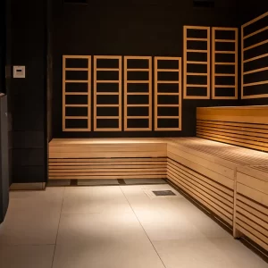 Tylö Sauna Buhar